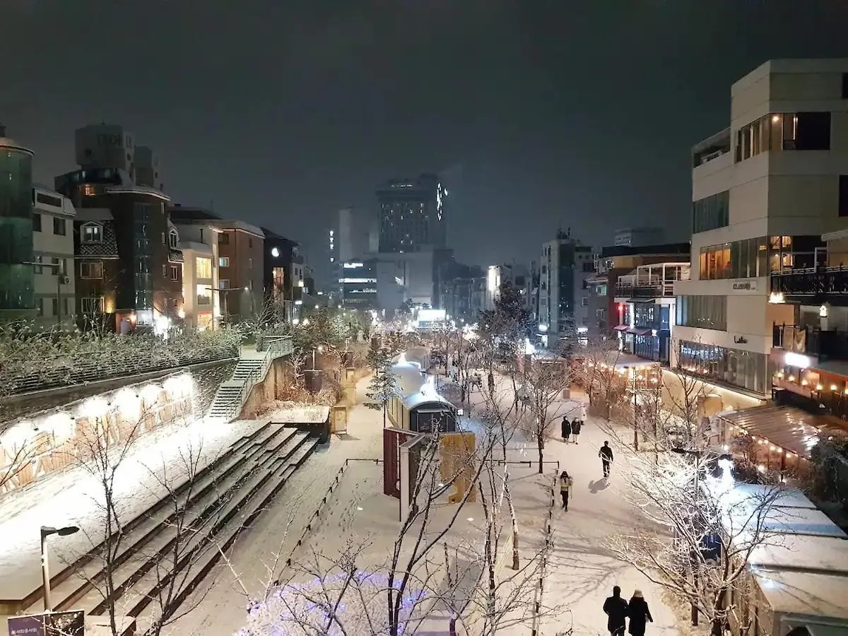 Villa #1 Mapo Hongdae Detached Home 마포 공항철도 홍대입구역 도보5분 Seoul